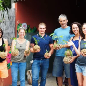 Privatisez votre atelier kokedama à La Réunion