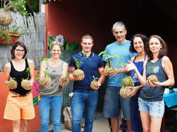 Atelier Kokedama team building ou groupe