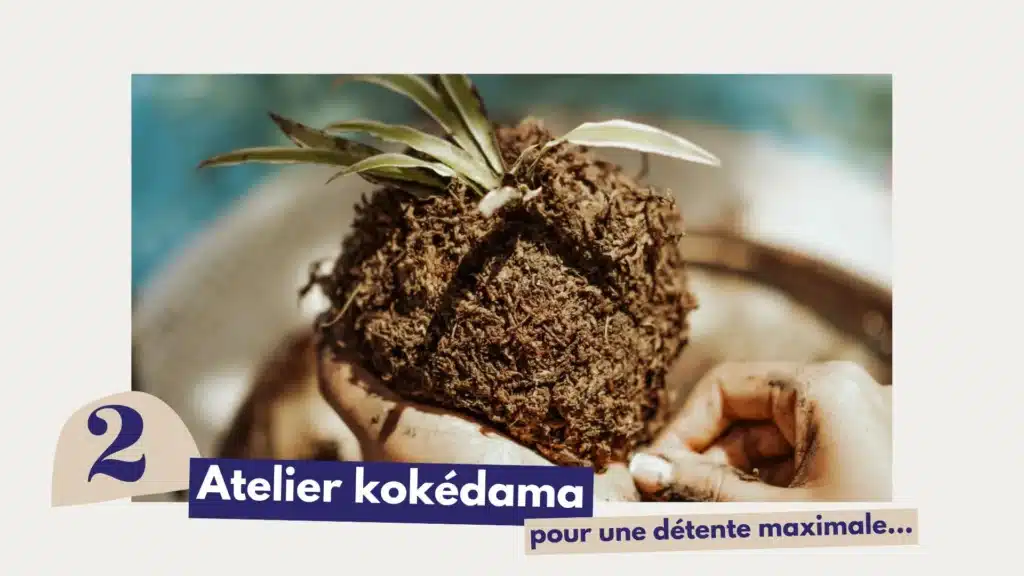 Création d'un kokedama lors d'un atelier végétal à La Réunion.