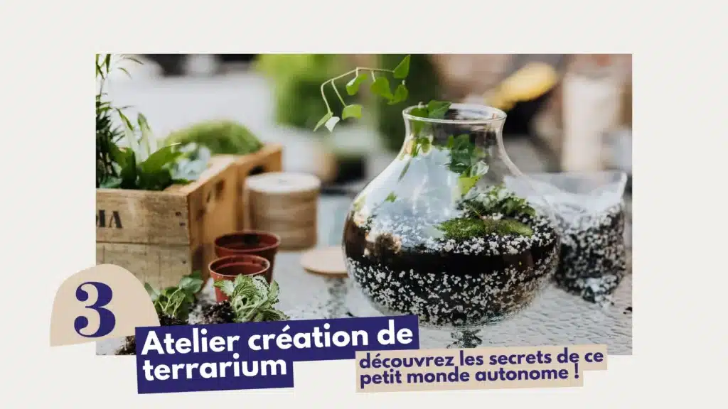 Atelier de création de terrarium à La Réunion avec composition végétale réalisée à la main.