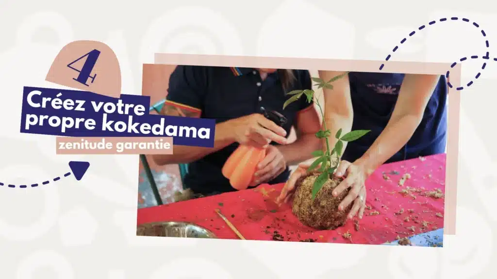 Atelier kokedama à La Réunion